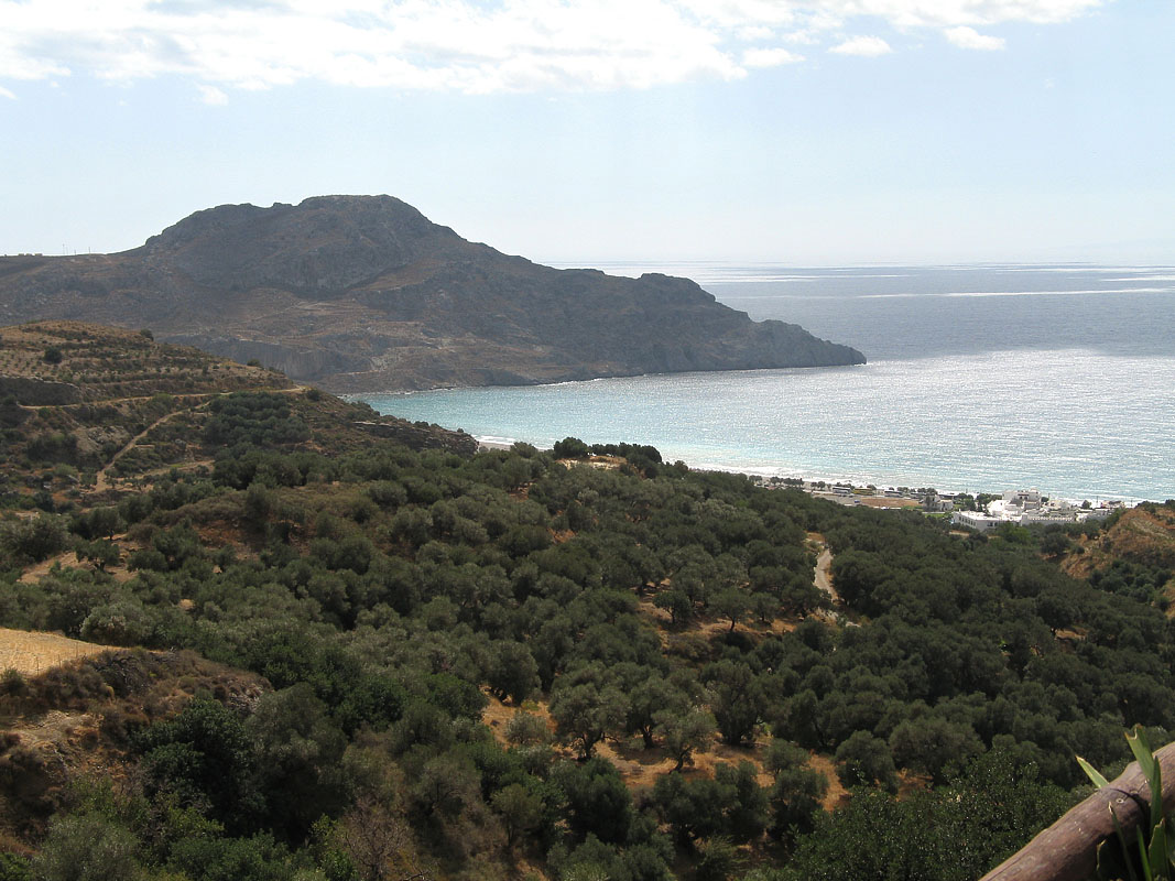 Moni Preveli